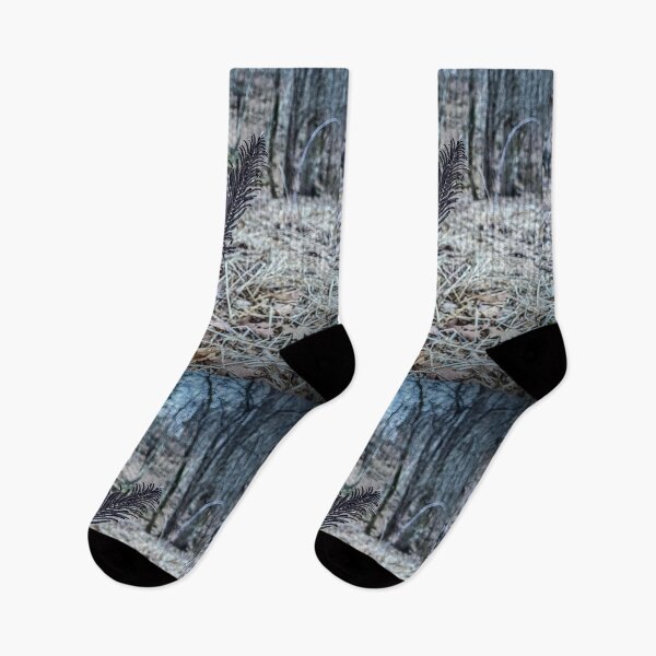 Item preview, Frosted Forest Ferns – Winter Woodland Macro Photography designed and sold by aadventures.