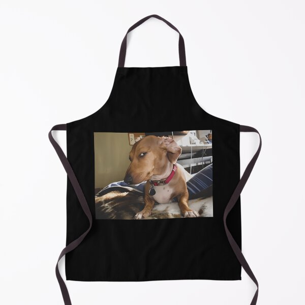 Item preview, Skeptical Dog Meme designed and sold by zarkazman.