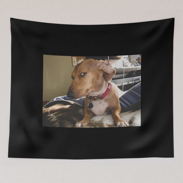 Item preview, Skeptical Dog Meme designed and sold by zarkazman.