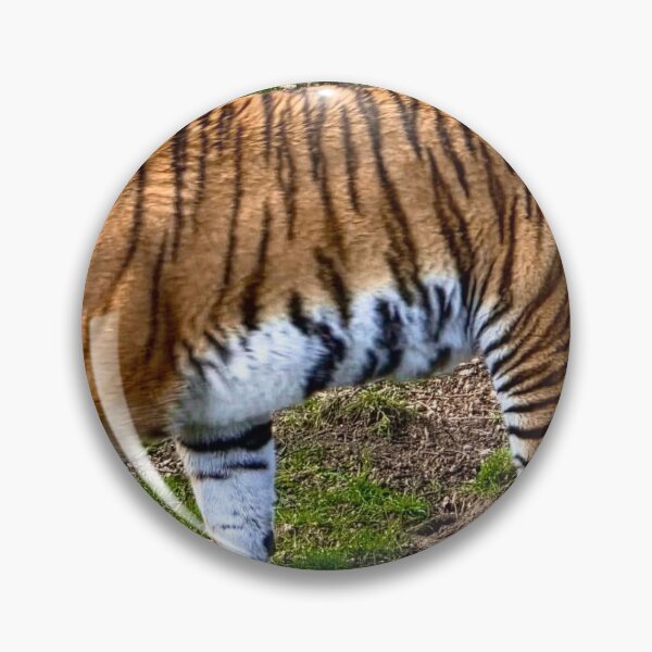 Item preview, Tiger feet. Walking on the wild side  designed and sold by Ribster13.