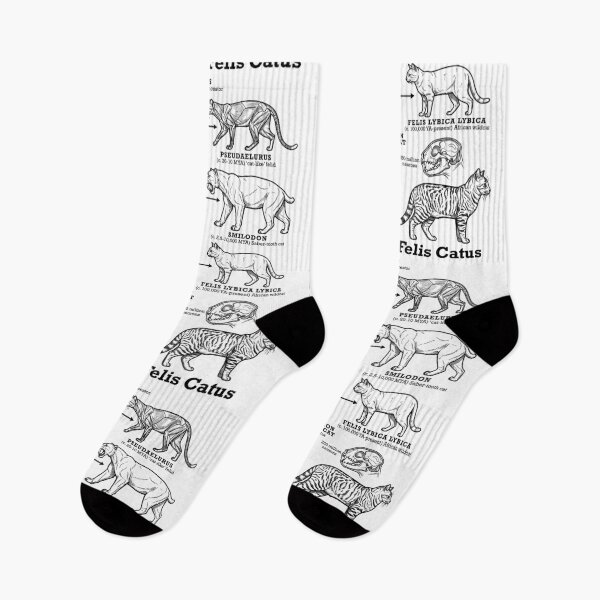 Item preview, Cat Evolution Felis Catus Cats Lineage Funny Science Diagram designed and sold by GrandeDuc.