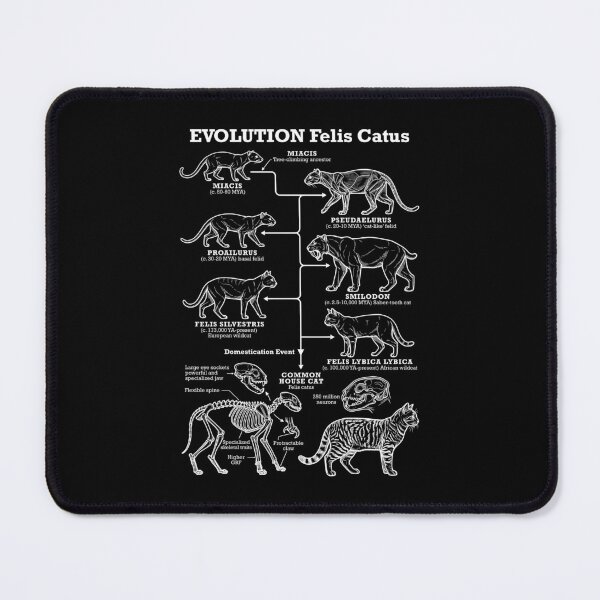 Item preview, Cat Evolution Felis Catus Cats Lineage Funny Science Diagram designed and sold by GrandeDuc.