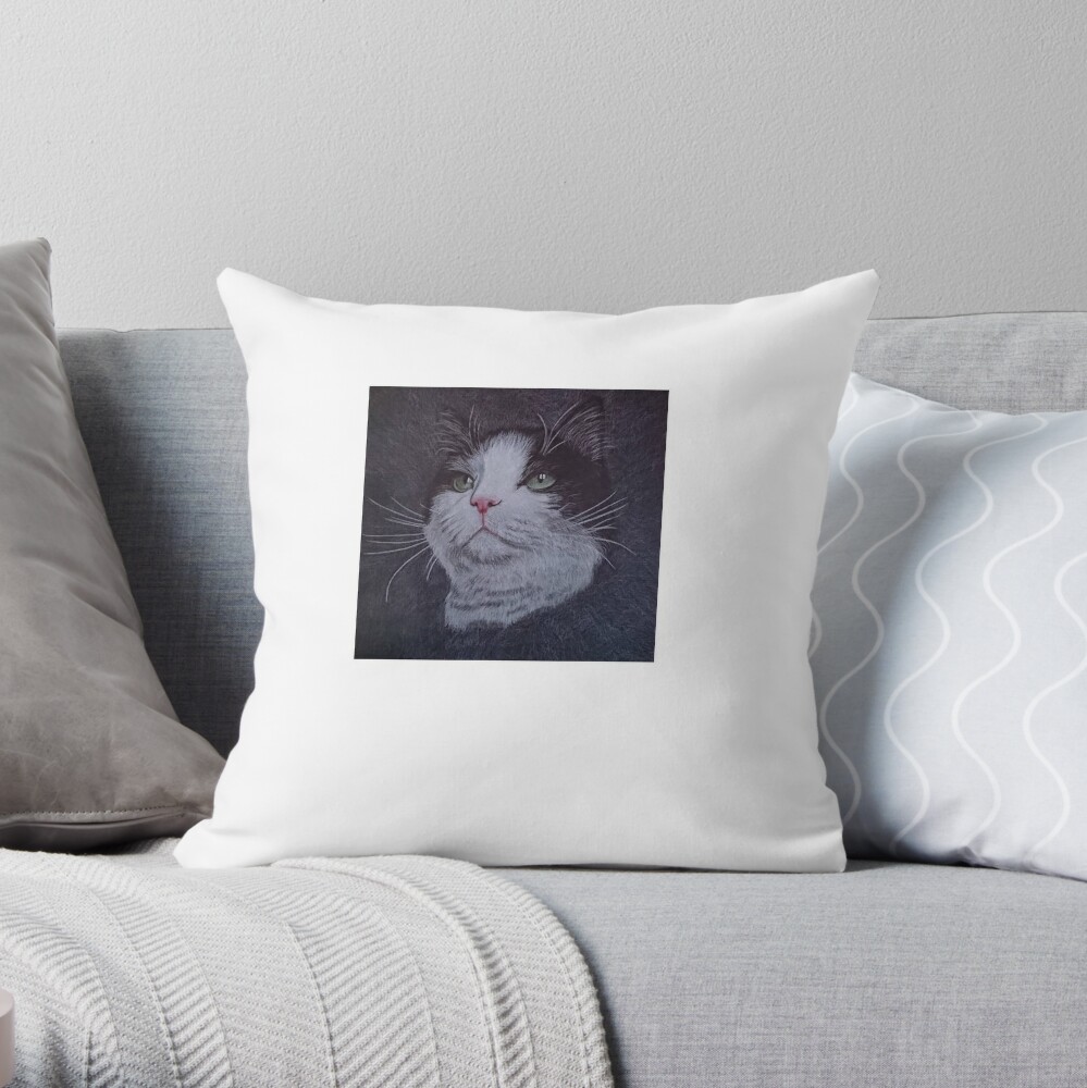 https://ih1.redbubble.net/image.610367802.8246/throwpillow,small,1000x-bg,f8f8f8-c,0,200,1000,1000.u3.jpg