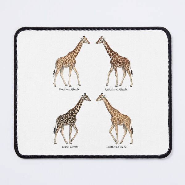 Item preview, Giraffe Species designed and sold by ArunDandiboina.