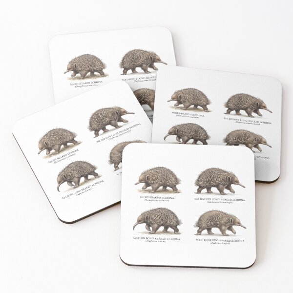 Item preview, Echidna Species designed and sold by ArunDandiboina.
