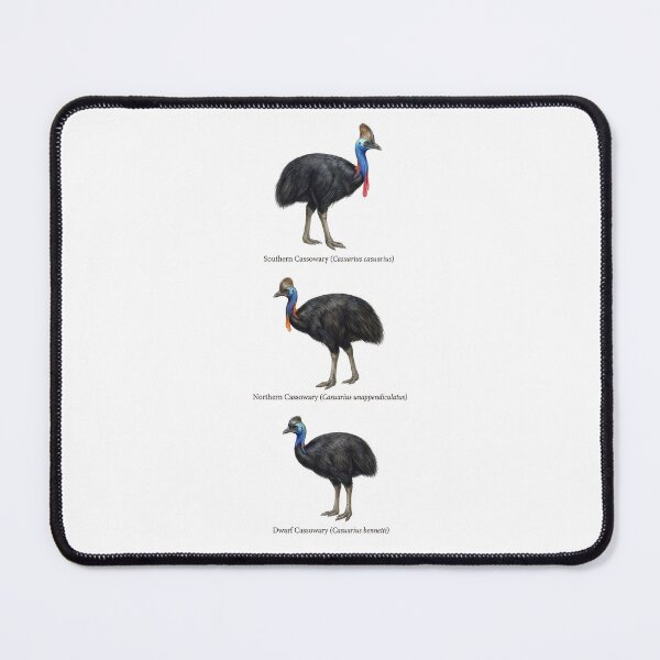 Item preview, Cassowary Species designed and sold by ArunDandiboina.
