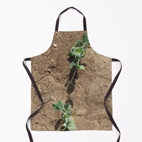 Item preview, Pea Plant Reaching for the Sun designed and sold by nagyphotography.