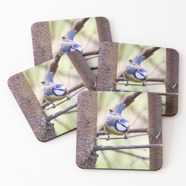Item preview, In between. Eurasian blue tit designed and sold by Jouko Lehto Photography.
