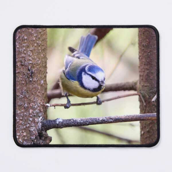 Item preview, In between. Eurasian blue tit designed and sold by Jouko Lehto Photography.