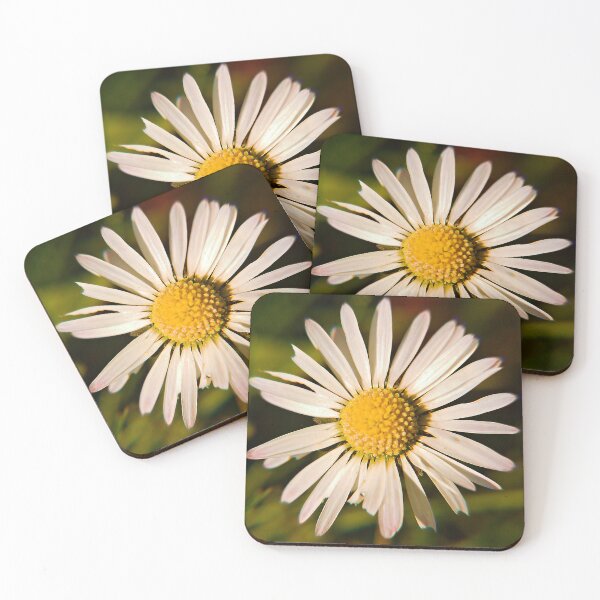 Item preview, Common Daisy, Evesham, Worcestershire designed and sold by RJKYTE1970.