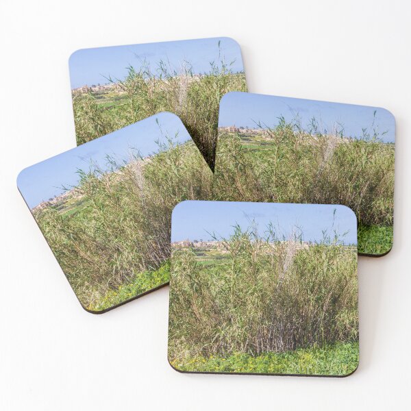 Item preview, Dense Reeds and Marsh Vegetation in a Sunny Rural Countryside Landscape With Village Houses designed and sold by Nmallia.