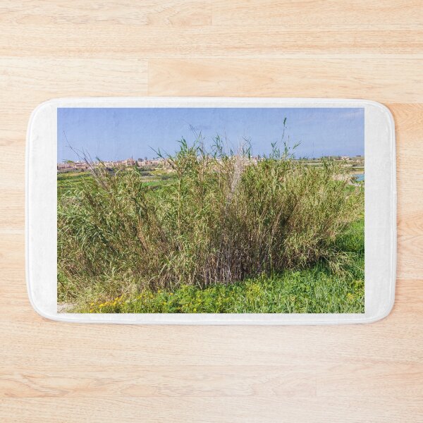 Item preview, Dense Reeds and Marsh Vegetation in a Sunny Rural Countryside Landscape With Village Houses designed and sold by Nmallia.