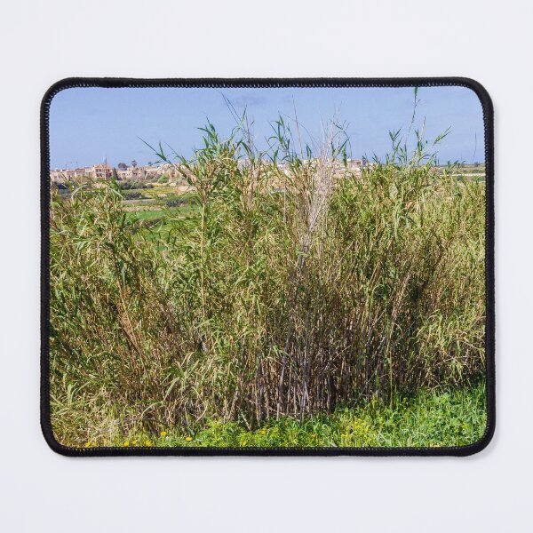Item preview, Dense Reeds and Marsh Vegetation in a Sunny Rural Countryside Landscape With Village Houses designed and sold by Nmallia.