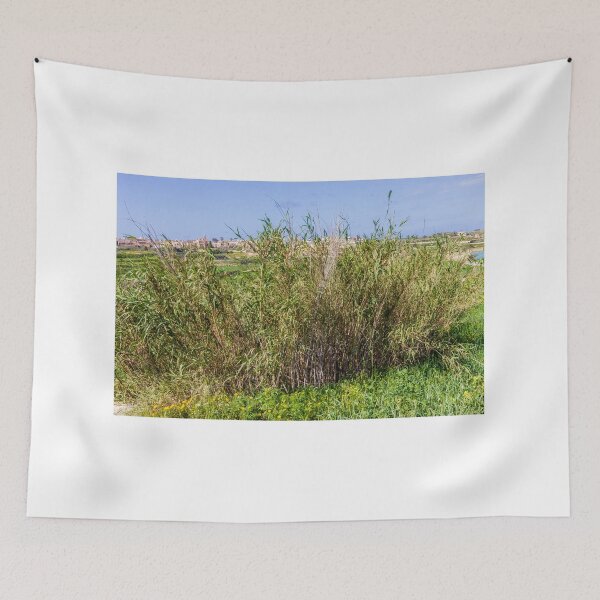 Item preview, Dense Reeds and Marsh Vegetation in a Sunny Rural Countryside Landscape With Village Houses designed and sold by Nmallia.