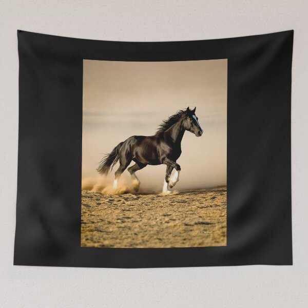 Item preview, FURY - Wall Art - Classic 1950s TV Westren Series designed and sold by DBM Photo Art 1.