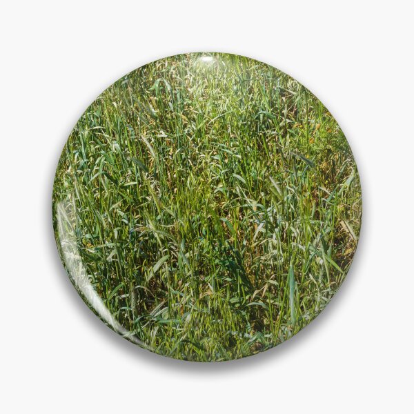 Item preview, Close-Up Of Green Grass Field Texture In Summer Meadow With Tall Wild Grasses designed and sold by Nmallia.