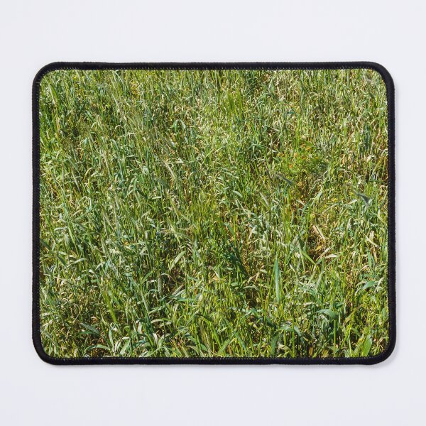 Item preview, Close-Up Of Green Grass Field Texture In Summer Meadow With Tall Wild Grasses designed and sold by Nmallia.