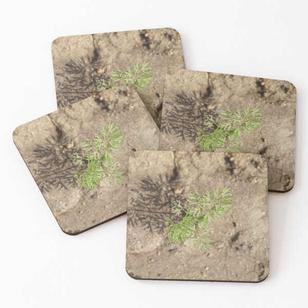 Item preview, Sunlit Carrot Seedling designed and sold by nagyphotography.
