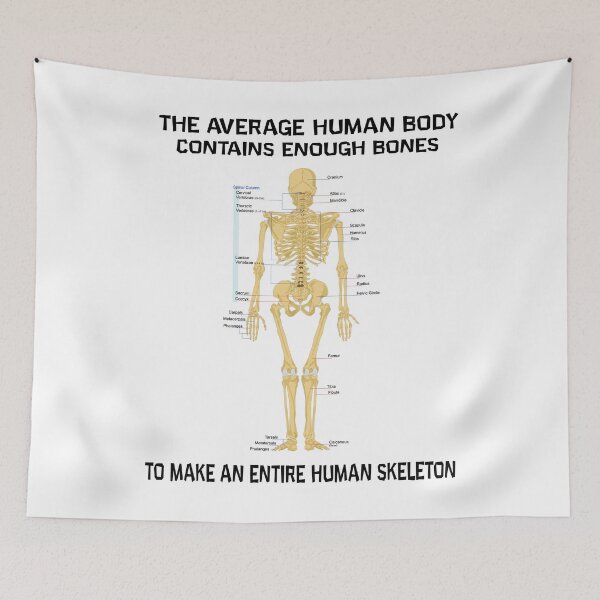Item preview,  The Average Human Body Contains Enough Bones To Make An Entire Human Skeleton designed and sold by Donsean22.