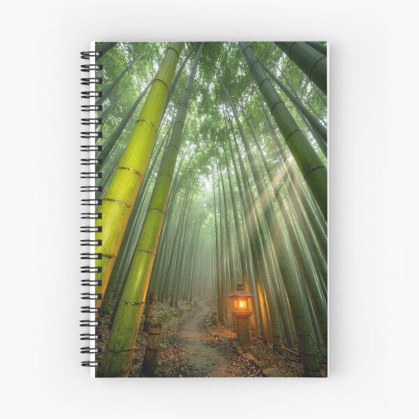 Item preview, Tranquil Green Bamboo Forest with Illuminated Stone Lantern designed and sold by Vista Atelier.