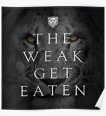 Leben und Fitness inspirierend Zitat und Spruch Poster