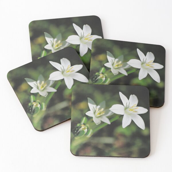 Item preview, Garden Star of Bethlehem designed and sold by Kasia Design.