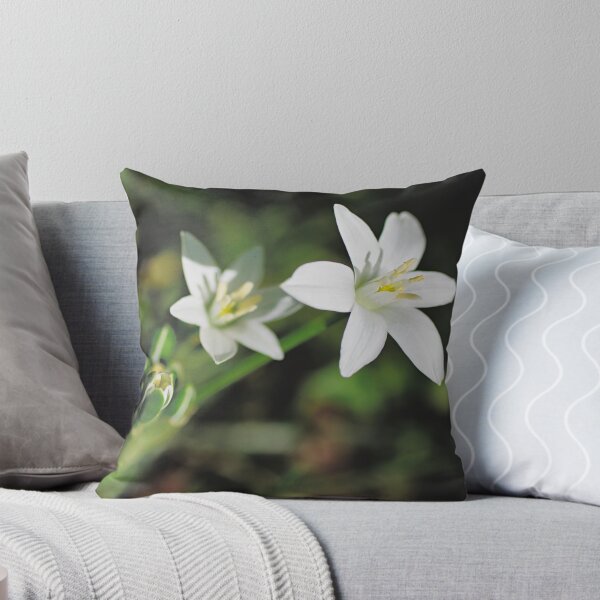 Item preview, Garden Star of Bethlehem designed and sold by Kasia Design.