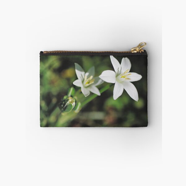 Item preview, Garden Star of Bethlehem designed and sold by Kasia Design.