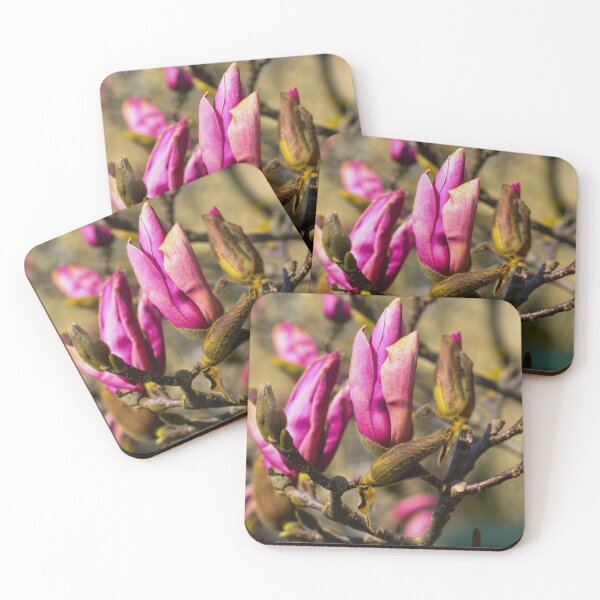Item preview, Magnolias in spring (Pink Magnolia Blossoms in Soft Spring Light) designed and sold by Isar1.