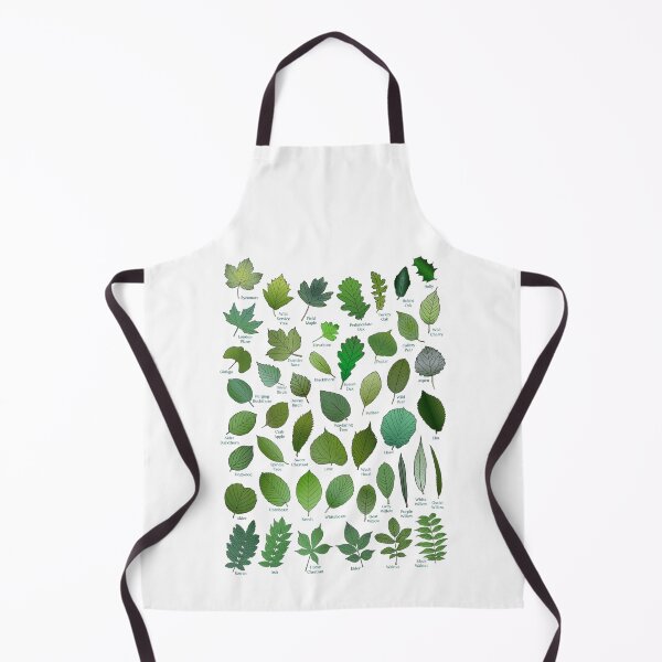 Item preview, Leaves of British Trees (untitled version) designed and sold by CanopyRobin.