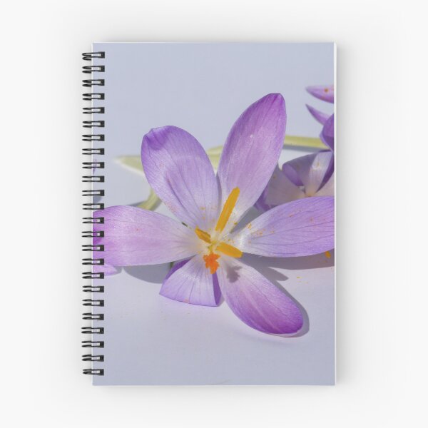 Item preview, minimalist purple crocus flowers on white background designed and sold by Isar1.