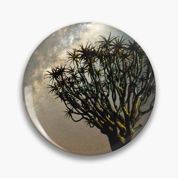 Item preview, Starry sky in the Quiver Tree Forest, Namibia. Original photography designed and sold by studio838.