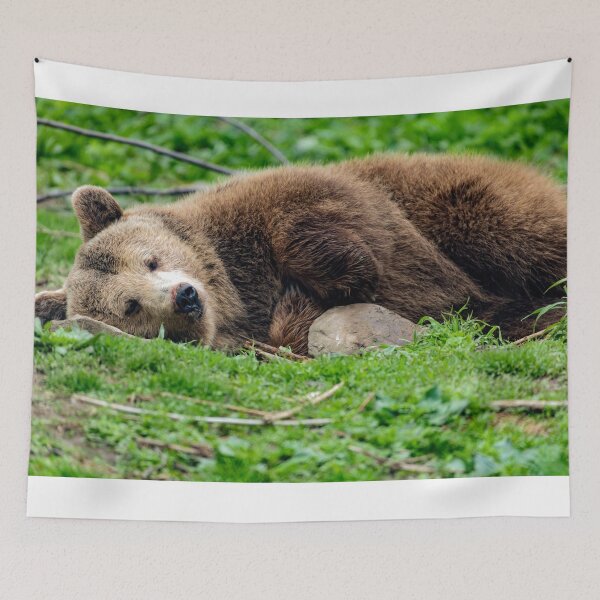 Item preview, Sweet dreams !! designed and sold by Rinoxxx.