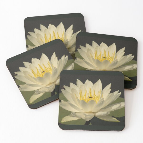 Item preview, White Lotus designed and sold by BullsGallery.