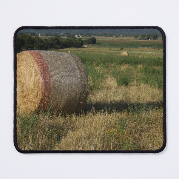 Item preview, Campagna designed and sold by Sestriere.