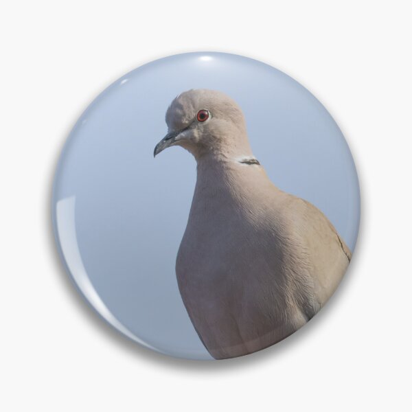 Item preview, Collared Dove designed and sold by LaurenTucker.