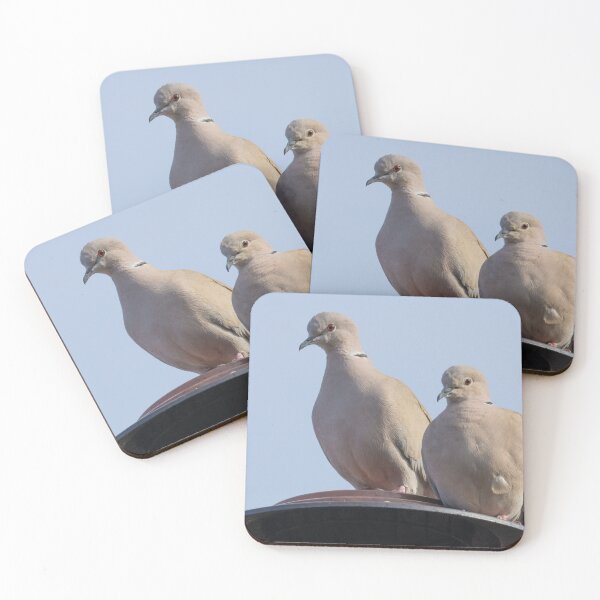 Item preview, Collared Dove designed and sold by LaurenTucker.