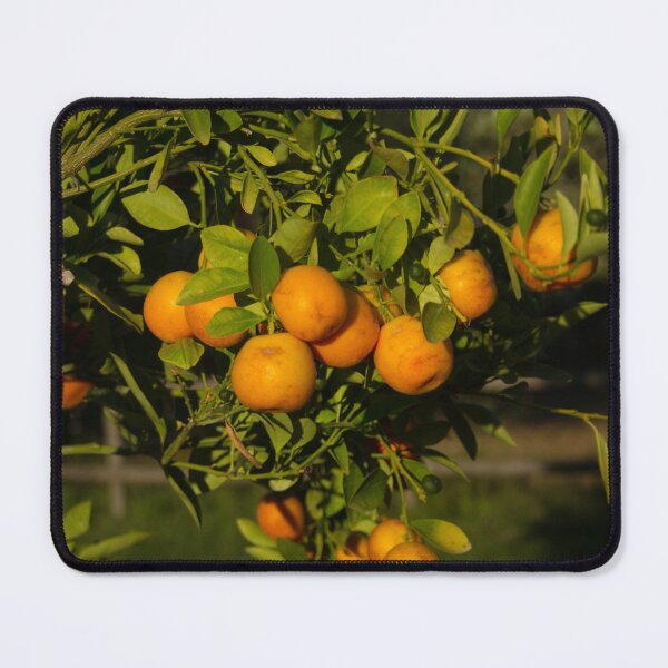 Item preview, Aranci al tramonto designed and sold by Sestriere.