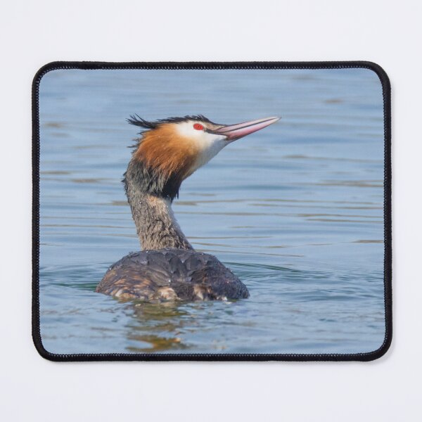 Item preview, Great Crested Grebe designed and sold by LaurenTucker.