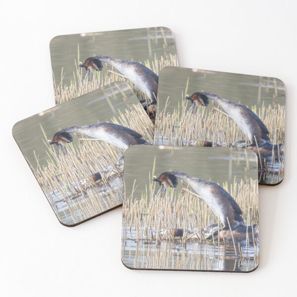 Item preview, Great Crested Grebe designed and sold by LaurenTucker.