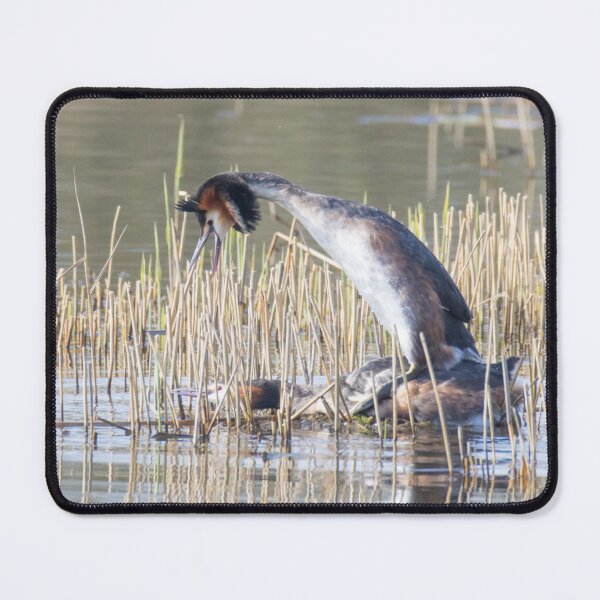 Item preview, Great Crested Grebe designed and sold by LaurenTucker.