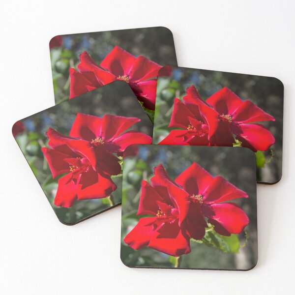 Item preview, Rosso passione designed and sold by Sestriere.