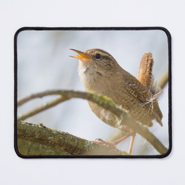 Item preview, Eurasian Wren designed and sold by LaurenTucker.