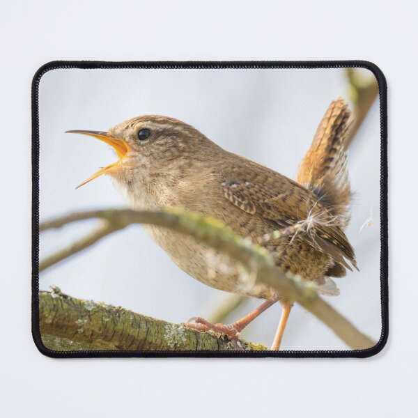 Item preview, Eurasian Wren designed and sold by LaurenTucker.