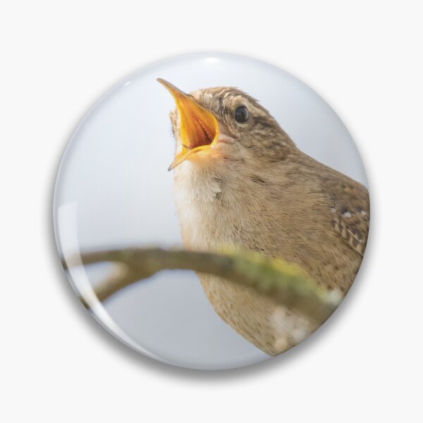 Item preview, Eurasian Wren designed and sold by LaurenTucker.