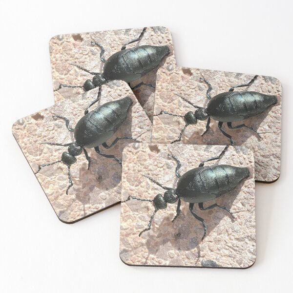 Item preview, Oil beetle (Meloe impressus) designed and sold by missmoneypenny.