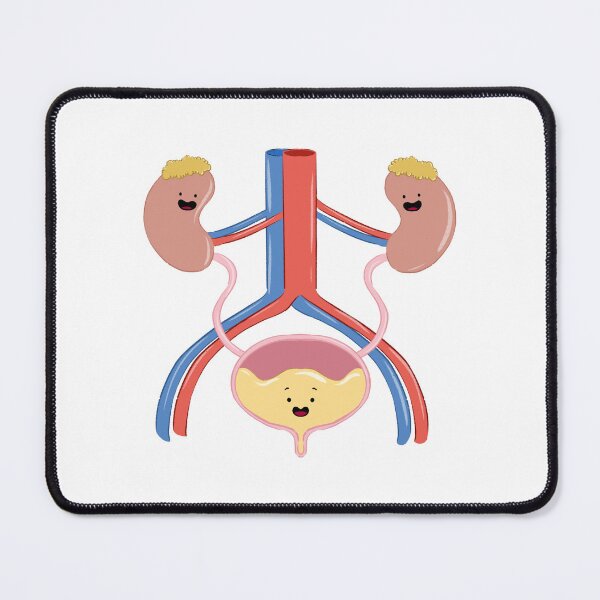 Item preview, Cute Kidney and Bladder Anatomy Cartoon designed and sold by sankura.