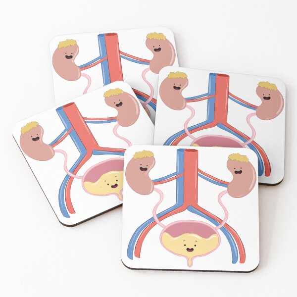 Item preview, Cute Kidney and Bladder Anatomy Cartoon designed and sold by sankura.