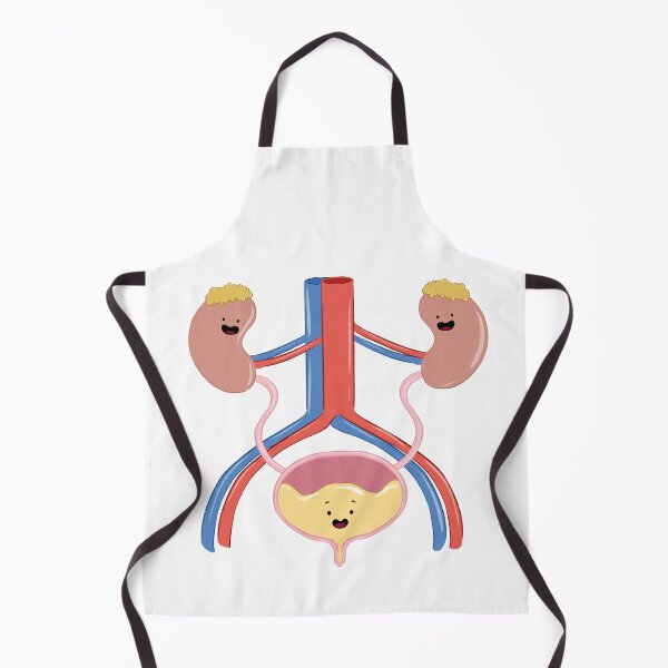 Item preview, Cute Kidney and Bladder Anatomy Cartoon designed and sold by sankura.