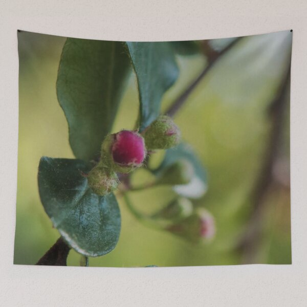 Item preview, Minimalist Tiny Pink Spring Flower Buds Macro designed and sold by vikko-art.
